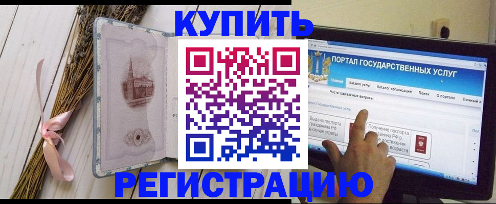 прописка поиск в Александровске